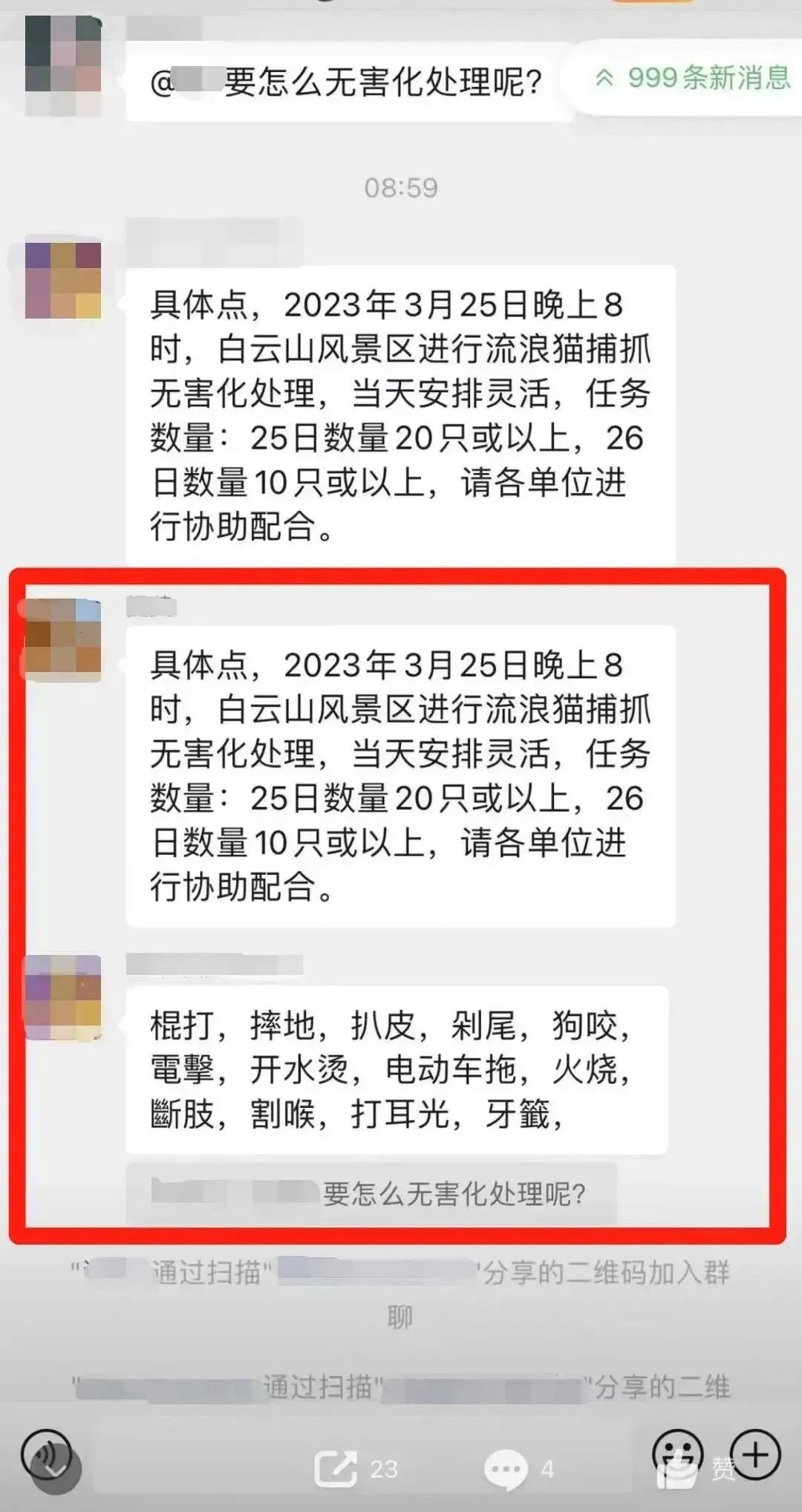 虐猫团伙预谋在广州公园下毒手，流浪猫命运如何？