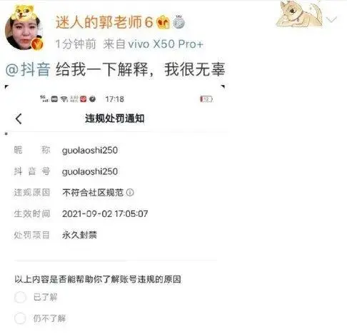 香港阿仪和广州安琪儿:湾区两大天后能红多久? 香港阿仪和广州安琪儿:湾区两大天后能红多久?