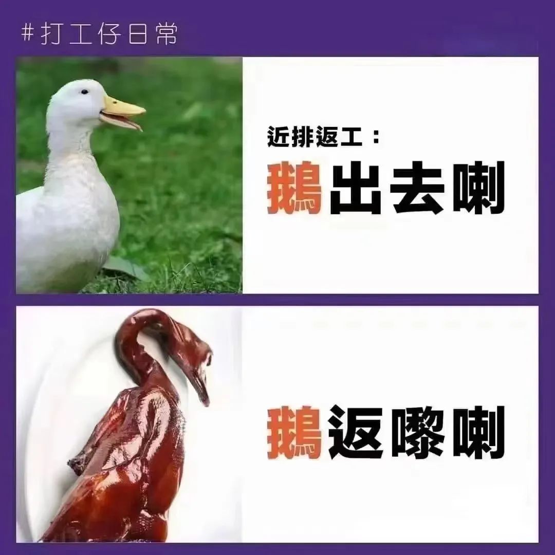这两天的广州,只有国父孙中山敢在户外站那么久…… 这两天的广州,只有国父孙中山敢在户外站那么久……