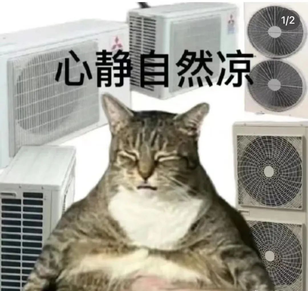 这两天的广州,只有国父孙中山敢在户外站那么久…… 这两天的广州,只有国父孙中山敢在户外站那么久……