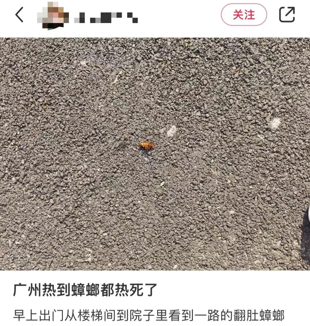 这两天的广州，只有国父孙中山敢在户外站那么久……