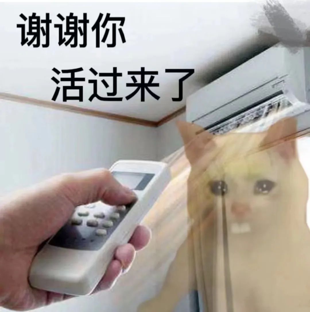 这两天的广州,只有国父孙中山敢在户外站那么久…… 这两天的广州,只有国父孙中山敢在户外站那么久……