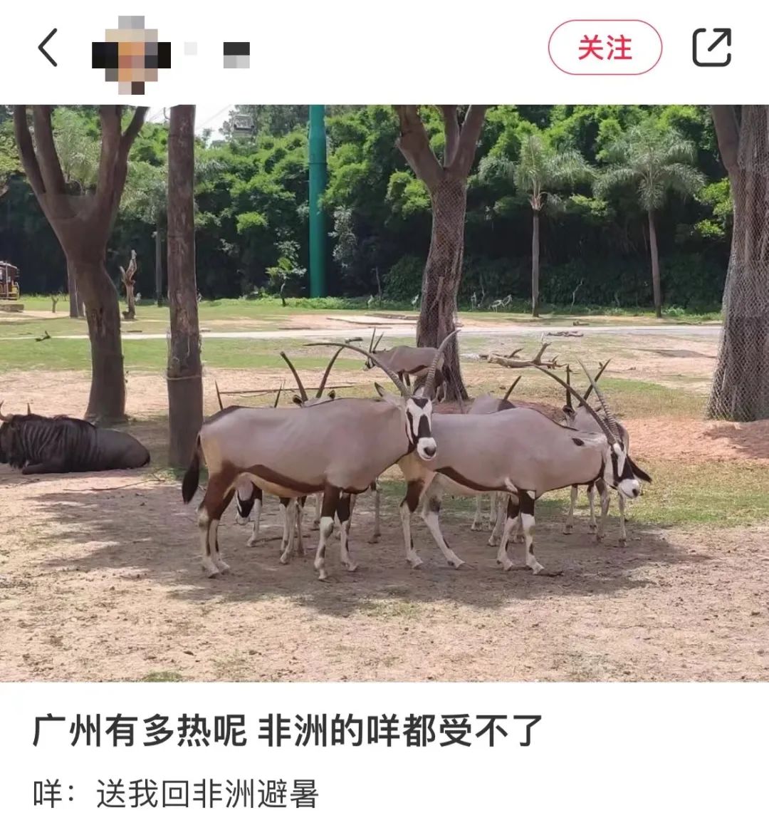 这两天的广州,只有国父孙中山敢在户外站那么久…… 这两天的广州,只有国父孙中山敢在户外站那么久……