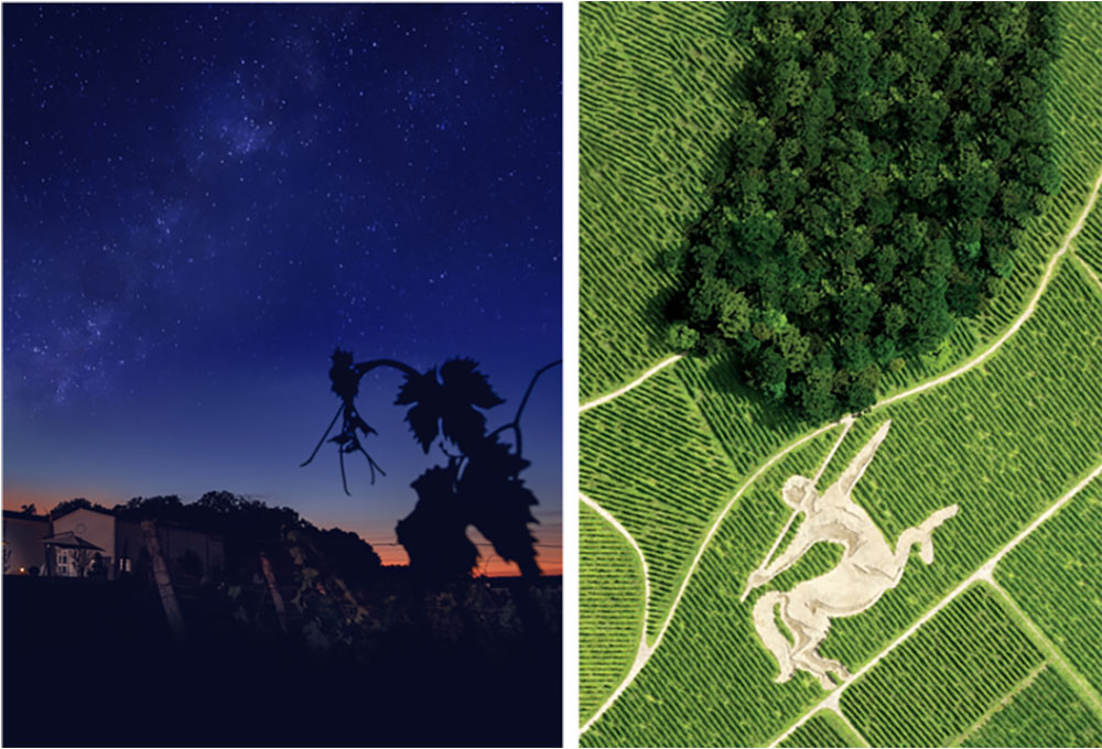 图14:人头马酒庄“脚踏实地,昂首射星”,-致力于“精彩永续”.jpg 图14:人头马酒庄“脚踏实地,昂首射星”,-致力于“精彩永续”.jpg