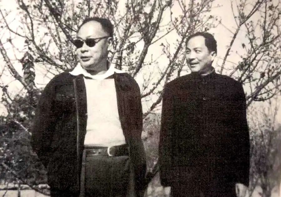 深受广州人称赞的朱光市长 || 林干 深受广州人称赞的朱光市长 || 林干