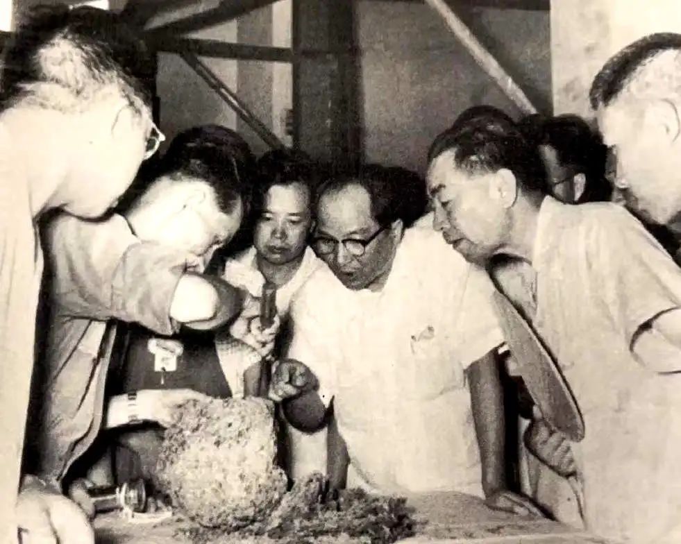 深受广州人称赞的朱光市长 || 林干 深受广州人称赞的朱光市长 || 林干