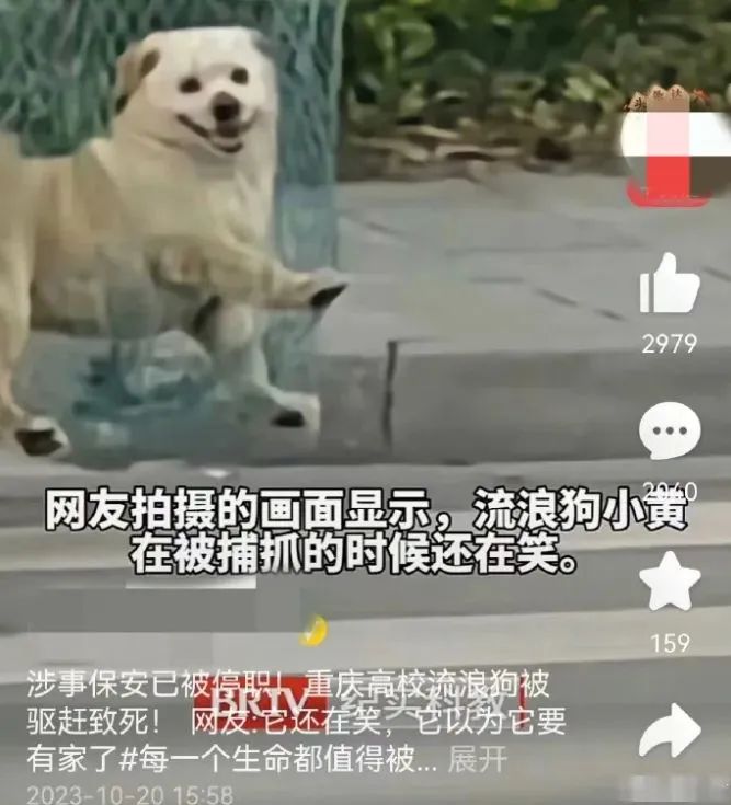 假到离谱的新闻,为何总是有人信? 假到离谱的新闻,为何总是有人信?