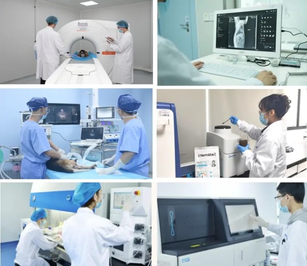 图:科研实验室