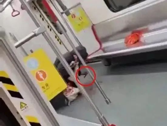 告别2023:疫情防控放开后,广州人的生活有变好吗? 告别2023:疫情防控放开后,广州人的生活有变好吗?