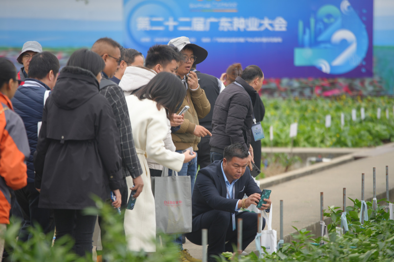 图片 4.png 图片 4.png