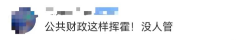 广东开通宠物专线,你愿意和猫狗同坐一车吗? 广东开通宠物专线,你愿意和猫狗同坐一车吗?