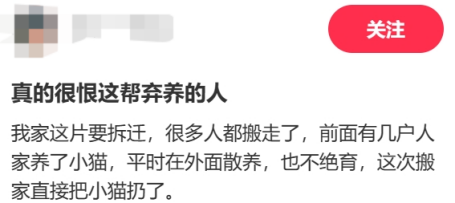 广东开通宠物专线,你愿意和猫狗同坐一车吗? 广东开通宠物专线,你愿意和猫狗同坐一车吗?
