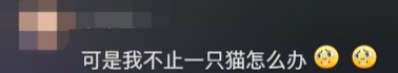 广东开通宠物专线,你愿意和猫狗同坐一车吗? 广东开通宠物专线,你愿意和猫狗同坐一车吗?