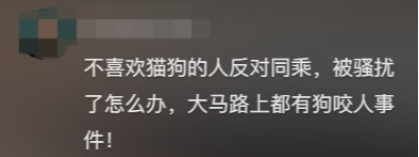 广东开通宠物专线,你愿意和猫狗同坐一车吗? 广东开通宠物专线,你愿意和猫狗同坐一车吗?