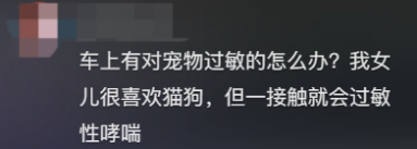 广东开通宠物专线，你愿意和猫狗同坐一车吗？