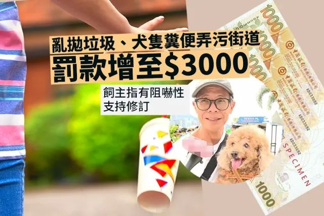 广东开通宠物专线,你愿意和猫狗同坐一车吗? 广东开通宠物专线,你愿意和猫狗同坐一车吗?