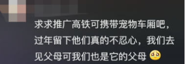 广东开通宠物专线，你愿意和猫狗同坐一车吗？