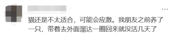 广东开通宠物专线,你愿意和猫狗同坐一车吗? 广东开通宠物专线,你愿意和猫狗同坐一车吗?
