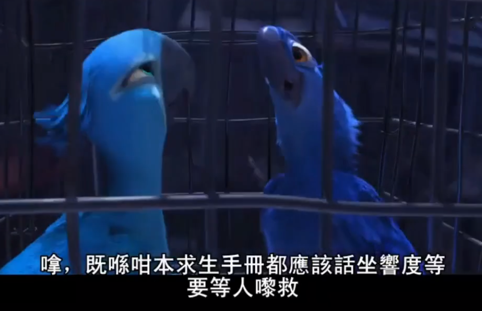 沪语文学《似锦》火了，下一个会是粤语吗？