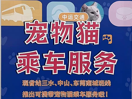 广东开通宠物专线，你愿意和猫狗同坐一车吗？