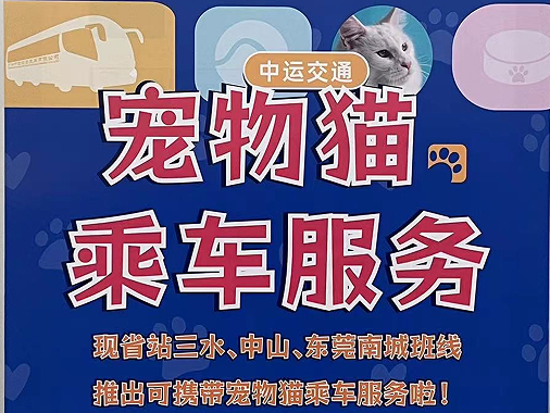 广东开通宠物专线,你愿意和猫狗同坐一车吗? 广东开通宠物专线,你愿意和猫狗同坐一车吗?