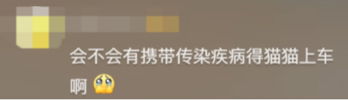 广东开通宠物专线,你愿意和猫狗同坐一车吗? 广东开通宠物专线,你愿意和猫狗同坐一车吗?