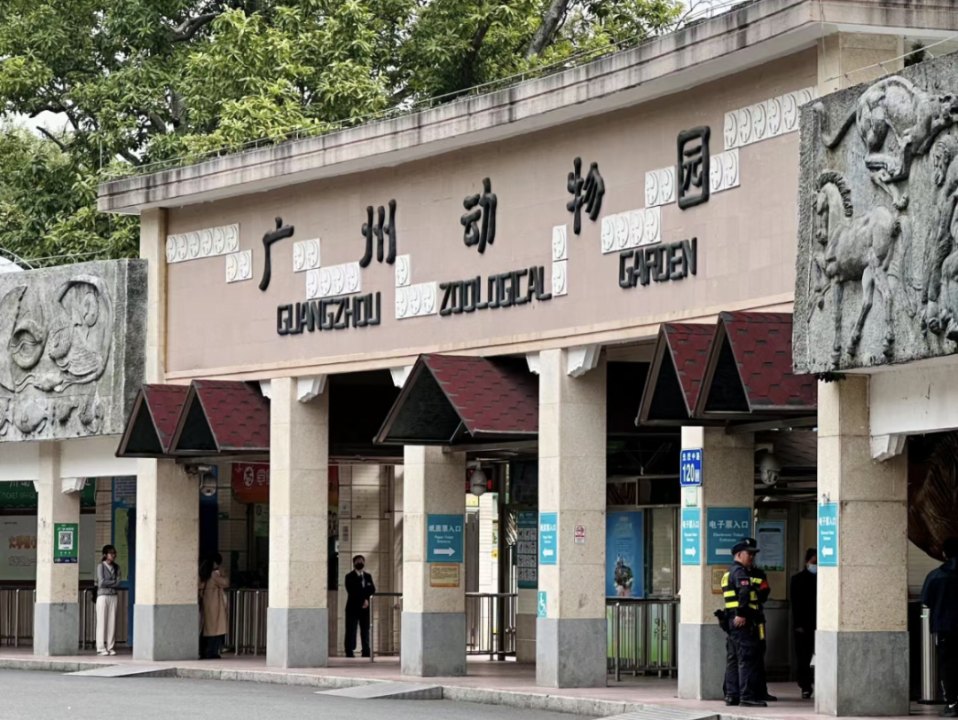 66岁的广州动物园改造:该以人还是以动物为本? 66岁的广州动物园改造:该以人还是以动物为本?