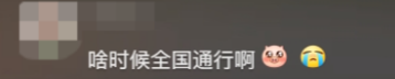 广东开通宠物专线,你愿意和猫狗同坐一车吗? 广东开通宠物专线,你愿意和猫狗同坐一车吗?