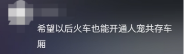 广东开通宠物专线,你愿意和猫狗同坐一车吗? 广东开通宠物专线,你愿意和猫狗同坐一车吗?