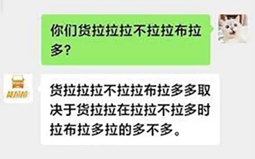 广东开通宠物专线，你愿意和猫狗同坐一车吗？