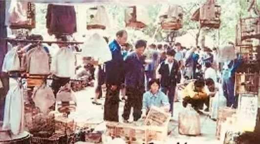 中央公园:老广州津津乐道的儿童乐园 || 荔人行 中央公园:老广州津津乐道的儿童乐园 || 荔人行