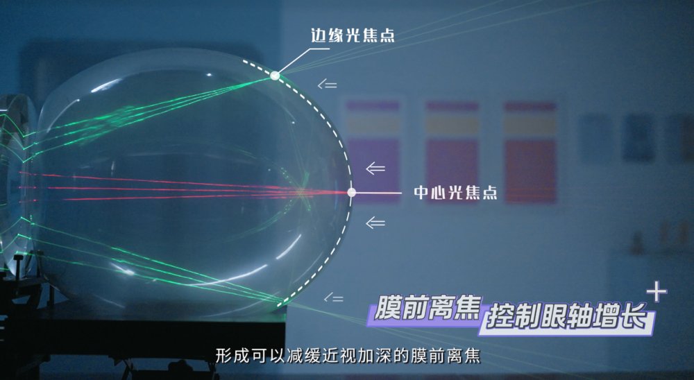 图片包含 图示描述已自动生成