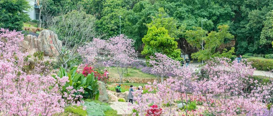 花城、花县、花洲、花地……这些广州地名是怎么来的？