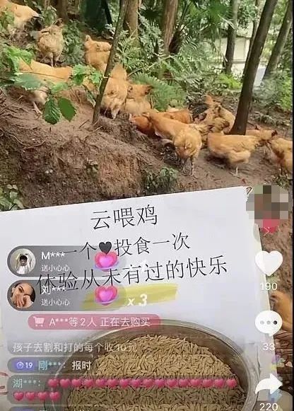 抖音骑呢直播,究竟玩到几癫? 抖音骑呢直播,究竟玩到几癫?
