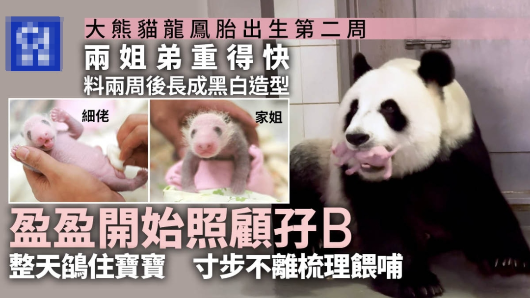 广东车评人微博遭禁,连累讲粤语也成“罪过”? 广东车评人微博遭禁,连累讲粤语也成“罪过”?