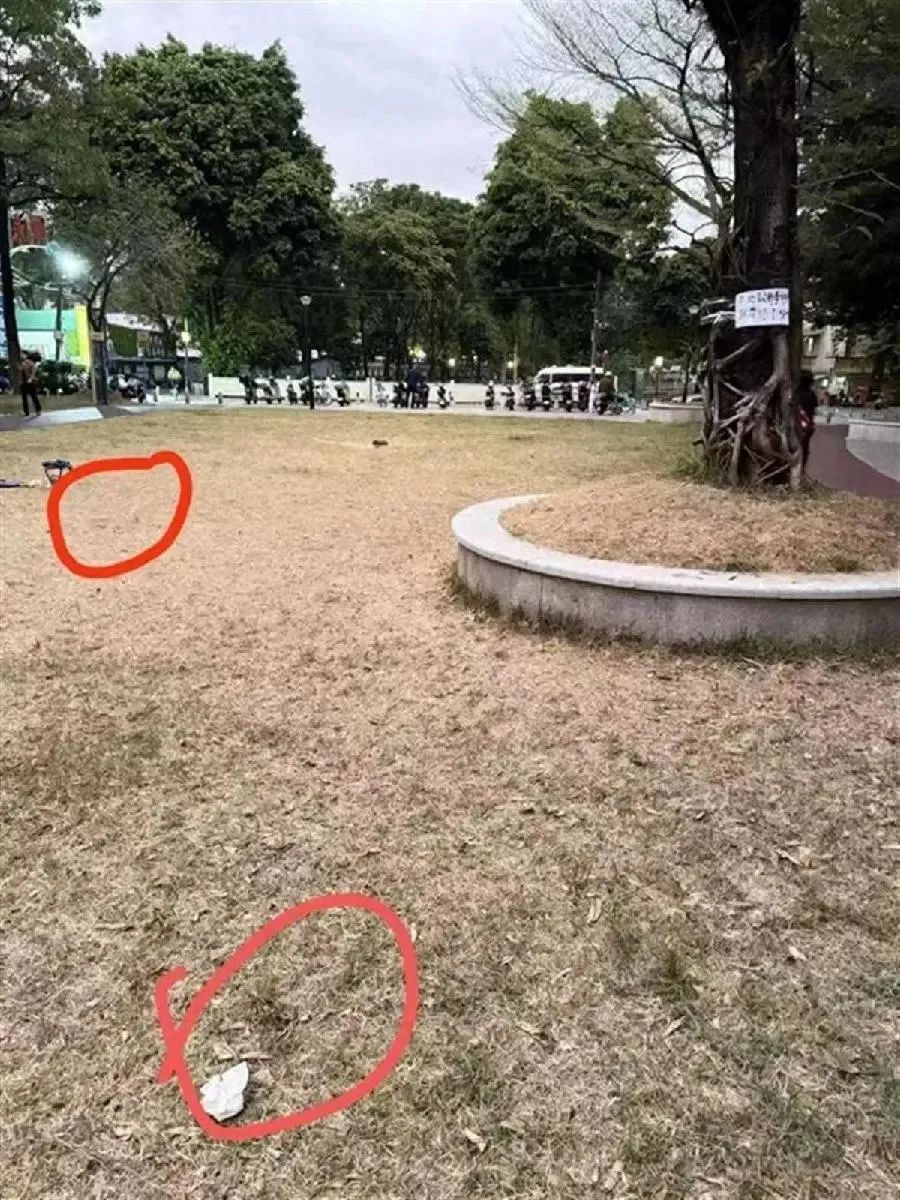 谁是凶手?广州10日内超40只狗被毒死! 谁是凶手?广州10日内超40只狗被毒死!