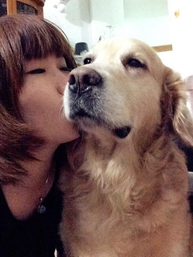 谁是凶手?广州10日内超40只狗被毒死! 谁是凶手?广州10日内超40只狗被毒死!