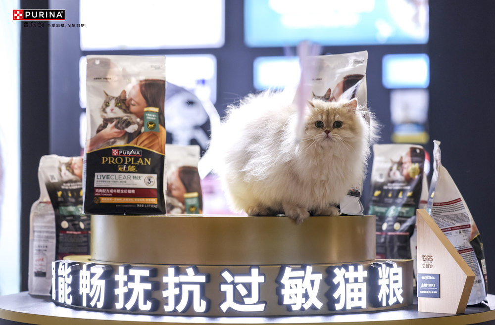 猫的照片上写着字

AI 生成的内容可能不正确。