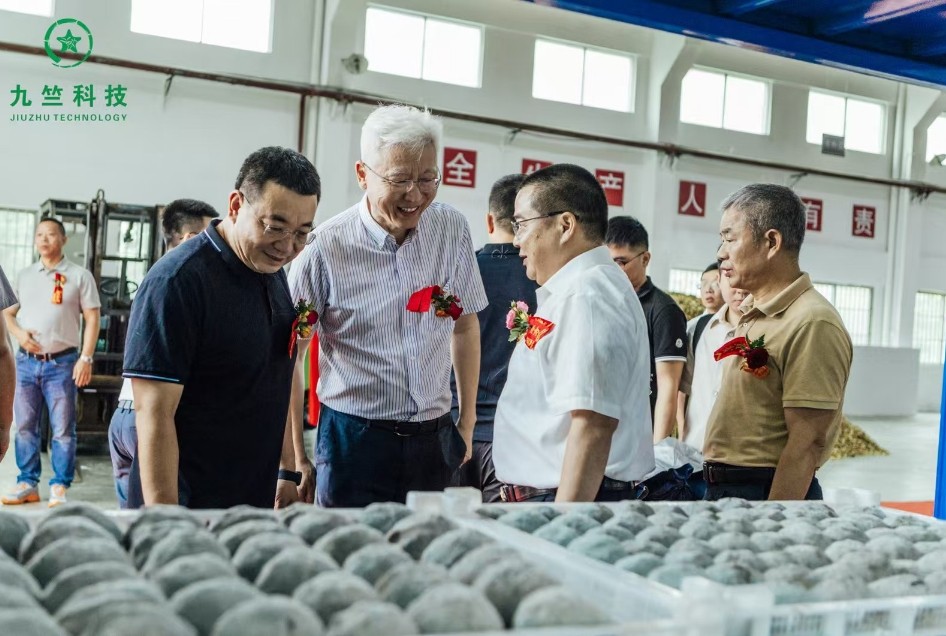 https://img2.danews.cc/upload/images/20250520/dc9c90658c901d08e45ce00733fb6131.png