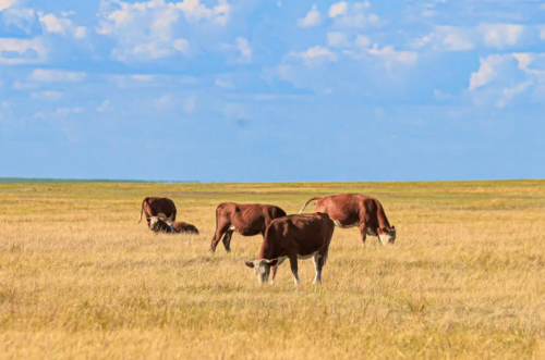 供应链差异化突围：Olé精品超市的高端业态进阶之路