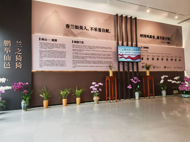 鹏举仙邑、兰之猗猗，翁源兰花展在深圳启幕