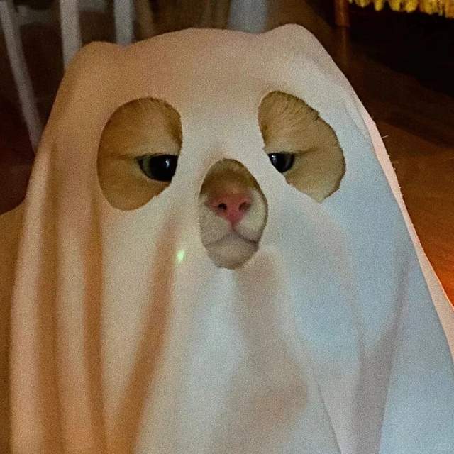 广东人点解成日“鬼话”连篇?