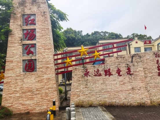 广财学子深耕红场镇:以新经济赋能红绿融合乡村振兴