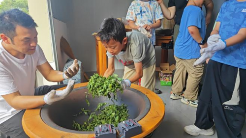 南岭国家公园候选区罗坑片区自然科普活动圆满落幕，生态与非遗共绘和谐发展新图景