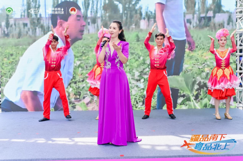 伽师新梅万里行甜蜜登陆广州，共启南国甜蜜新篇章