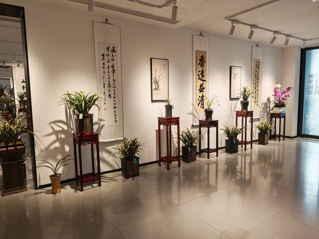 鹏举仙邑、兰之猗猗，翁源兰花展在深圳启幕