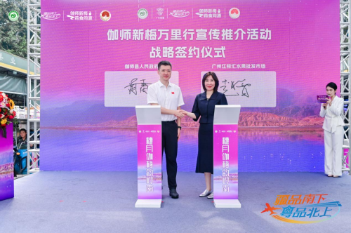 伽师新梅万里行甜蜜登陆广州，共启南国甜蜜新篇章