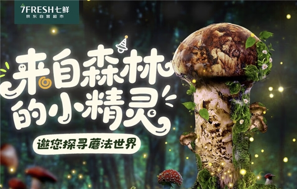 “蘑”法山珍平价尝鲜! 京东七鲜香格里拉松茸99元开抢