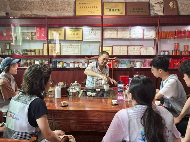 广财学子深耕红场镇:以新经济赋能红绿融合乡村振兴