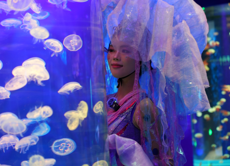 深圳国庆出游新地标!小梅沙海洋世界双园联动,开启“海与火”狂欢模式